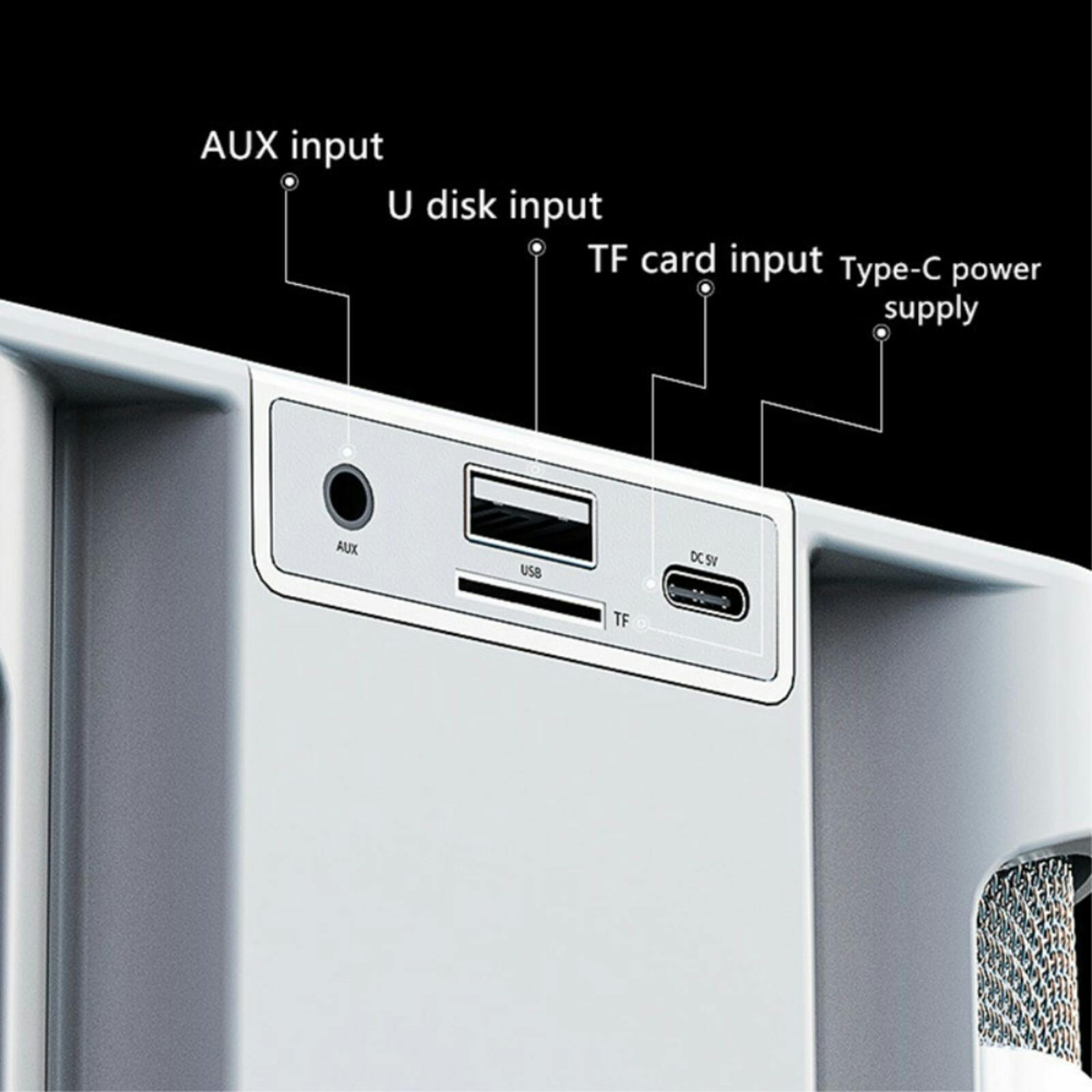 YS-203 KTV Karaoke Set met Draadloze Microfoons Zwart