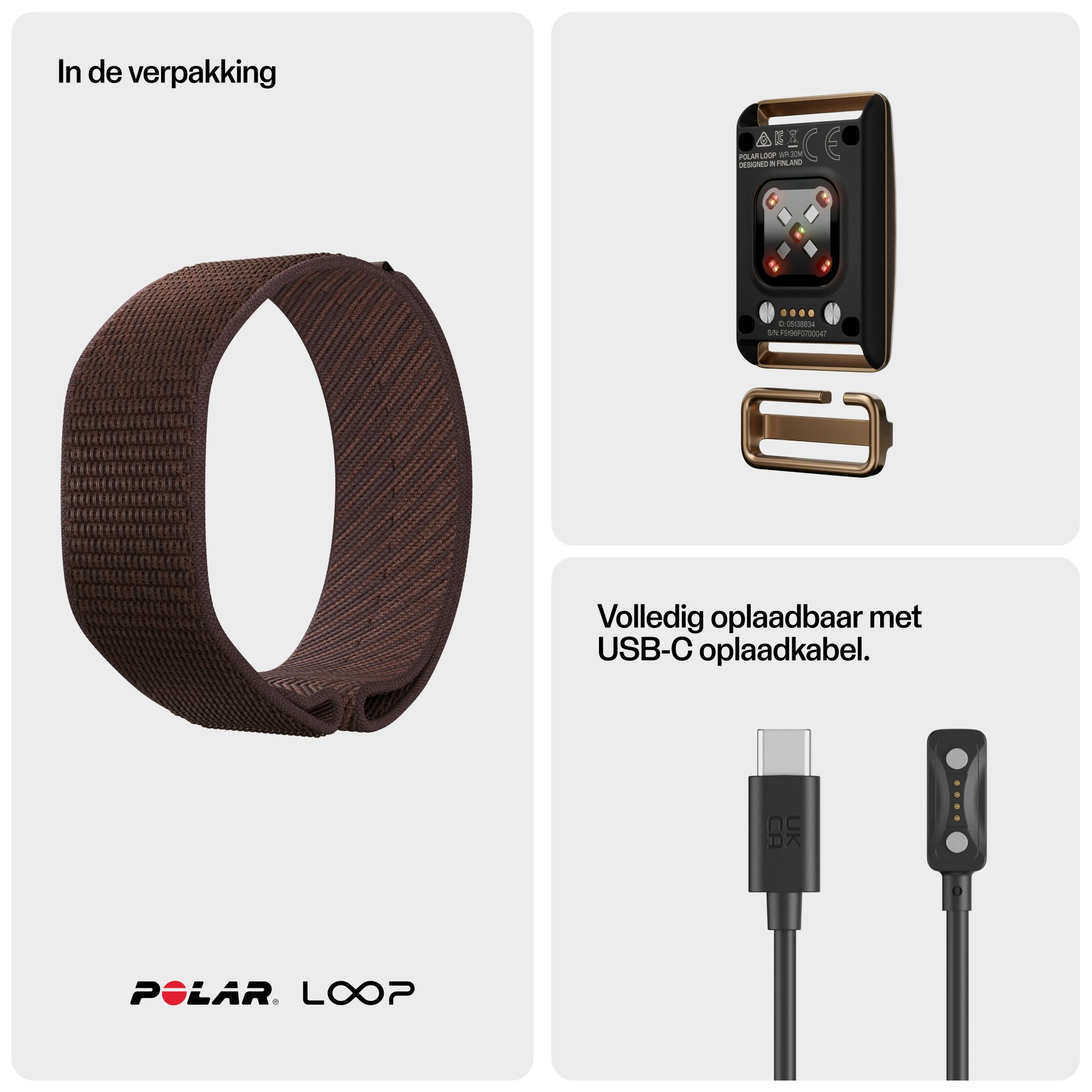 Polar Loop Bruin