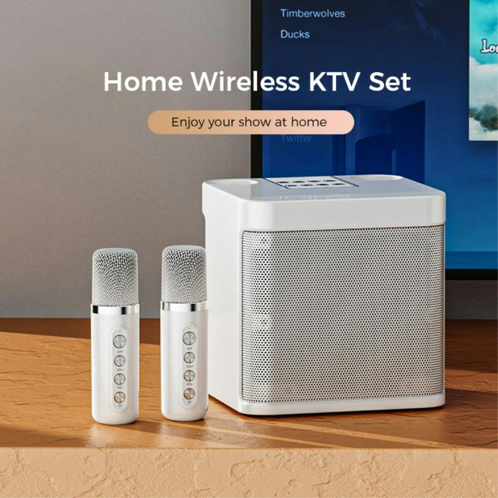 YS-203 KTV Karaoke Set met Draadloze Microfoons Pearl White