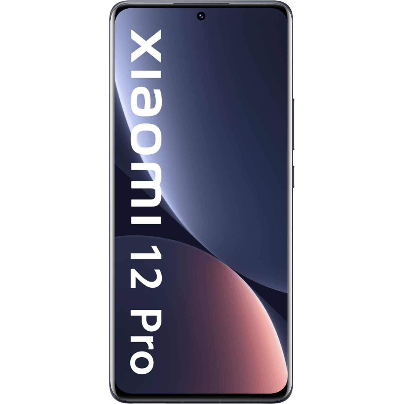 Xiaomi 12 Pro Gray