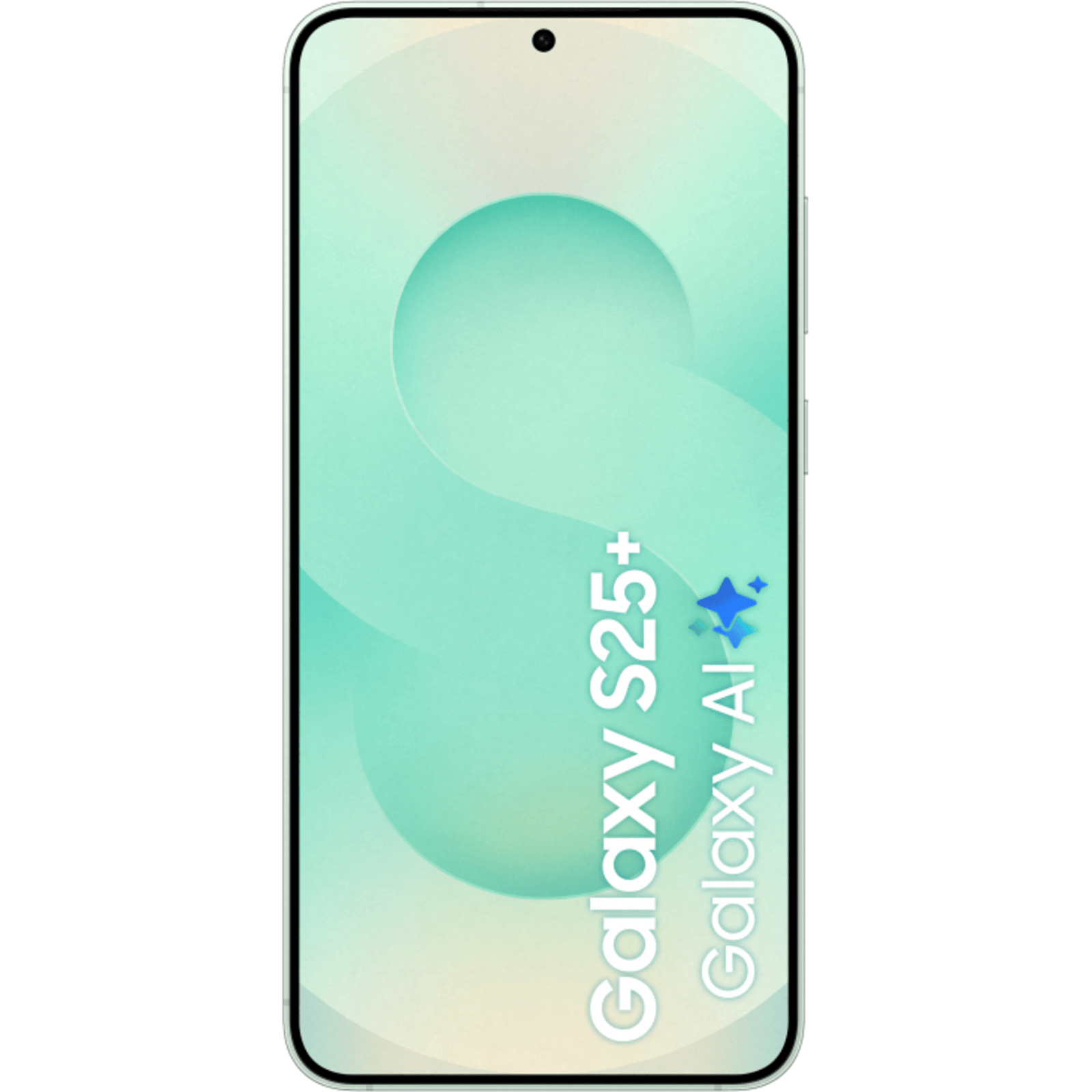 Samsung Galaxy S25 Plus