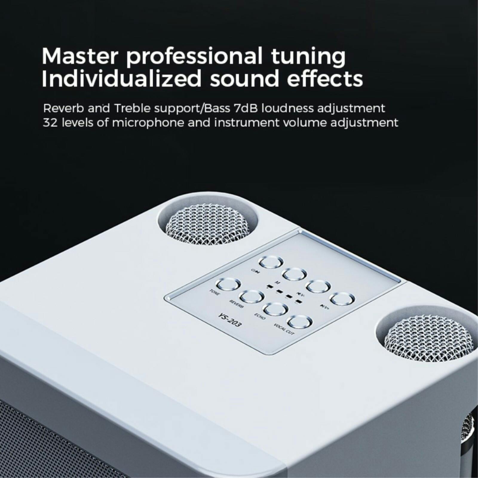 YS-203 KTV Karaoke Set met Draadloze Microfoons Zwart