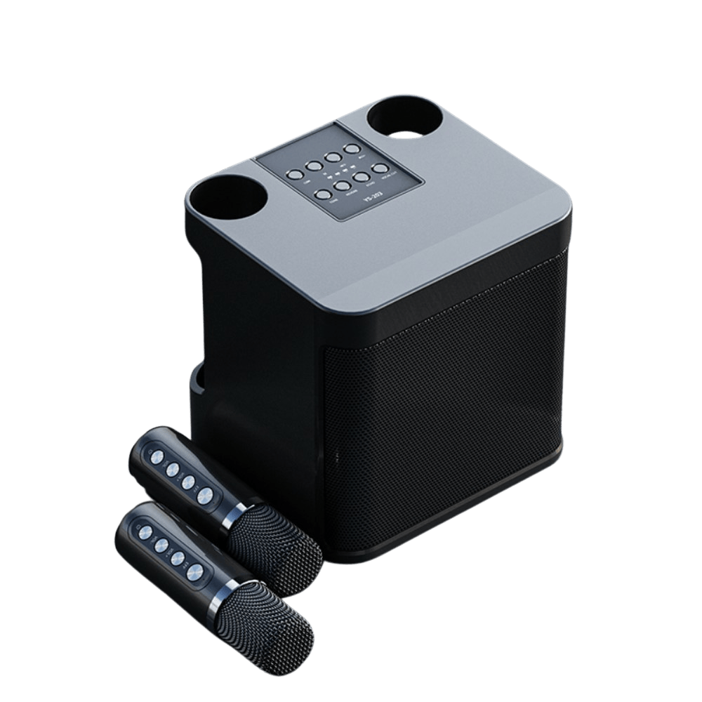 YS-203 KTV Karaoke Set met Draadloze Microfoons Zwart