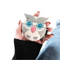 Mocaa Cute Owl AirPods Pro Hoesje Meerkleurig