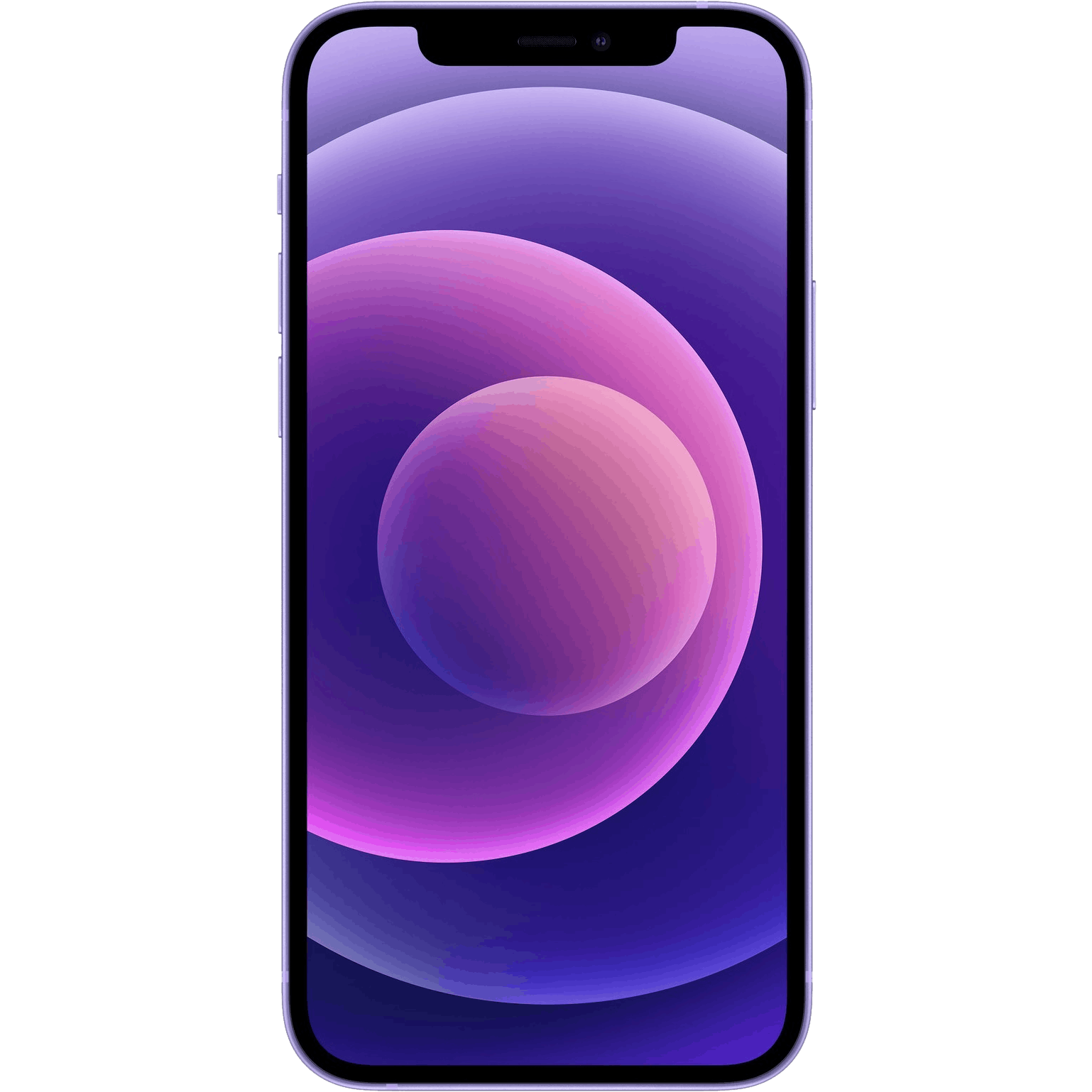 Apple iPhone 12 Purple