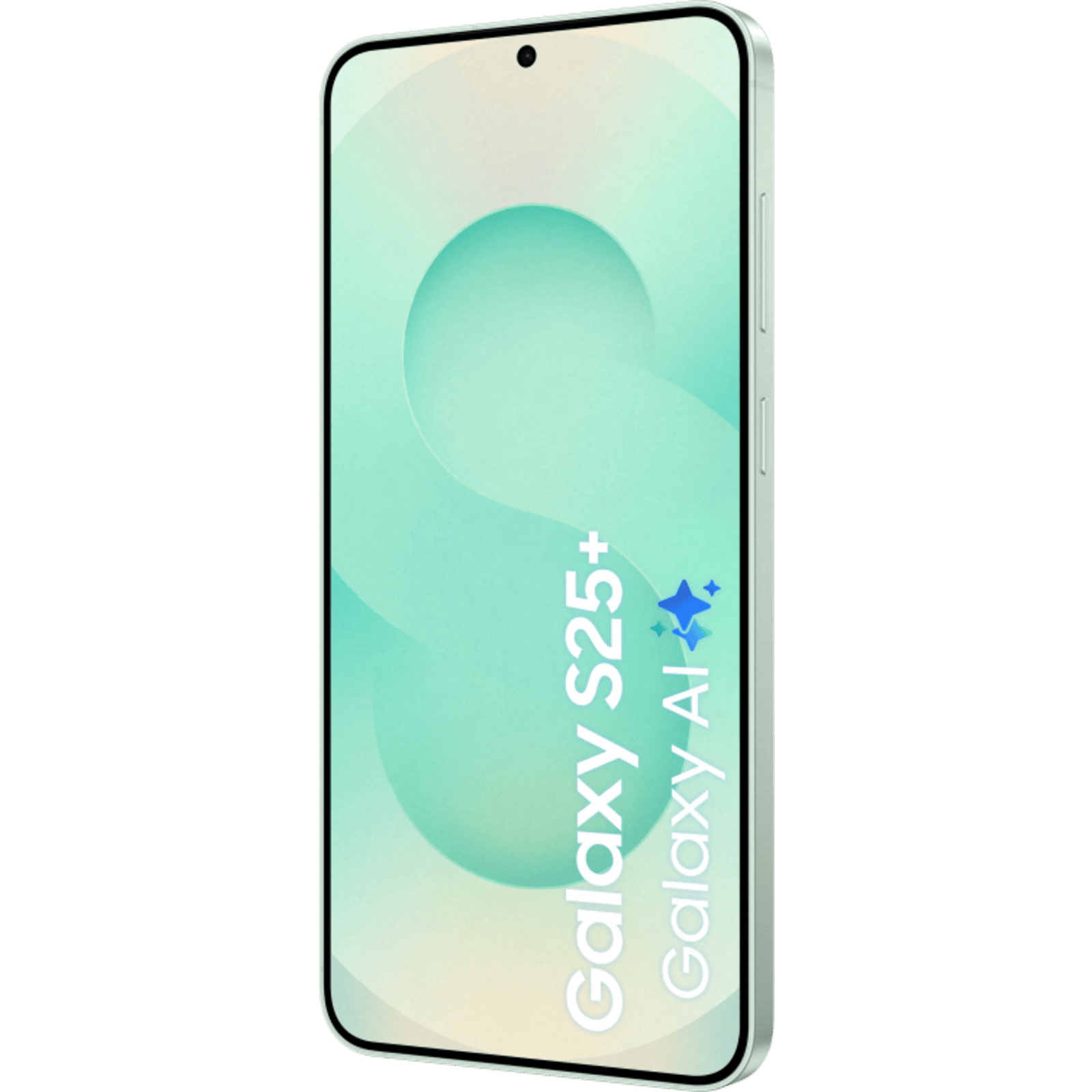 Samsung Galaxy S25 Plus