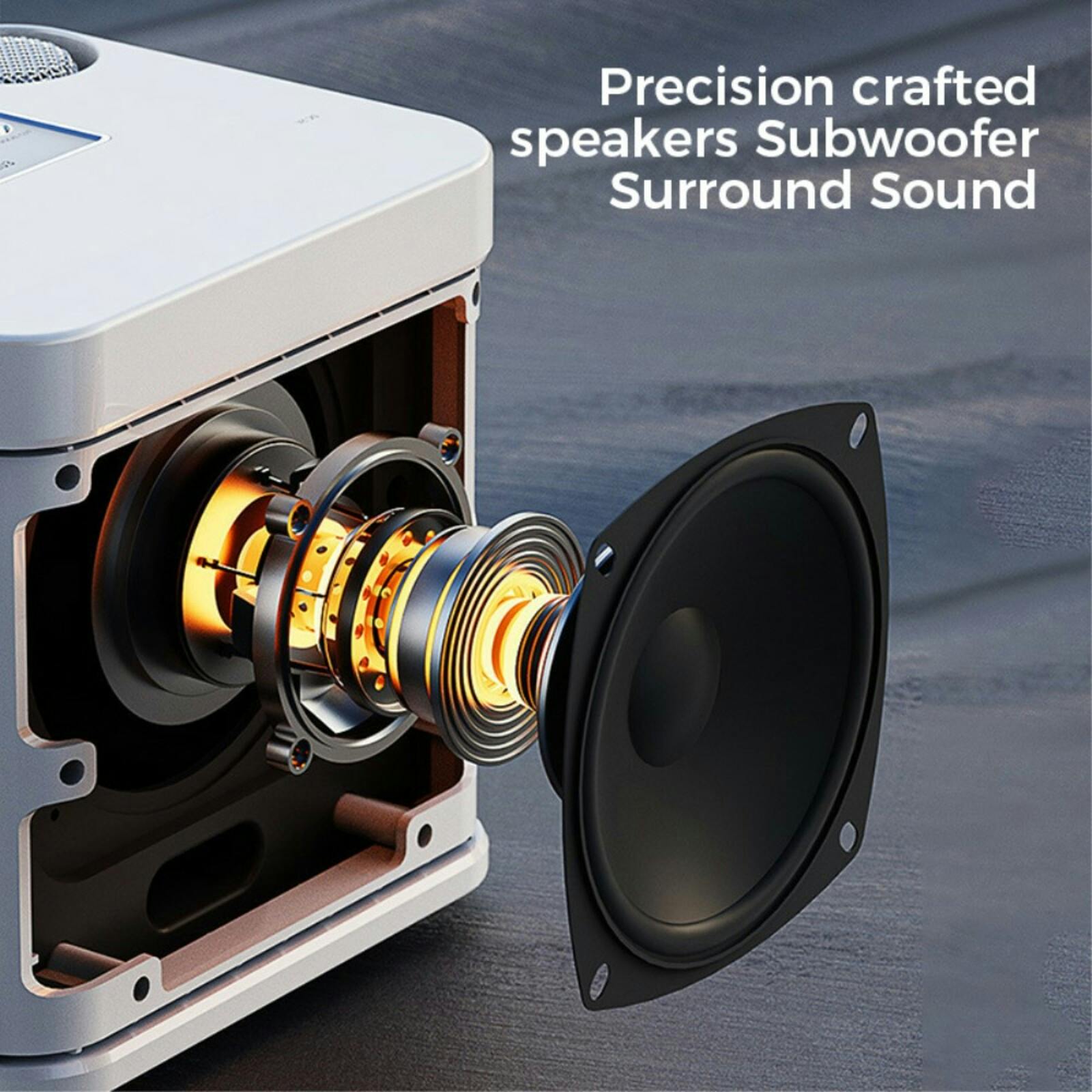 YS-203 KTV Karaoke Set met Draadloze Microfoons Zwart