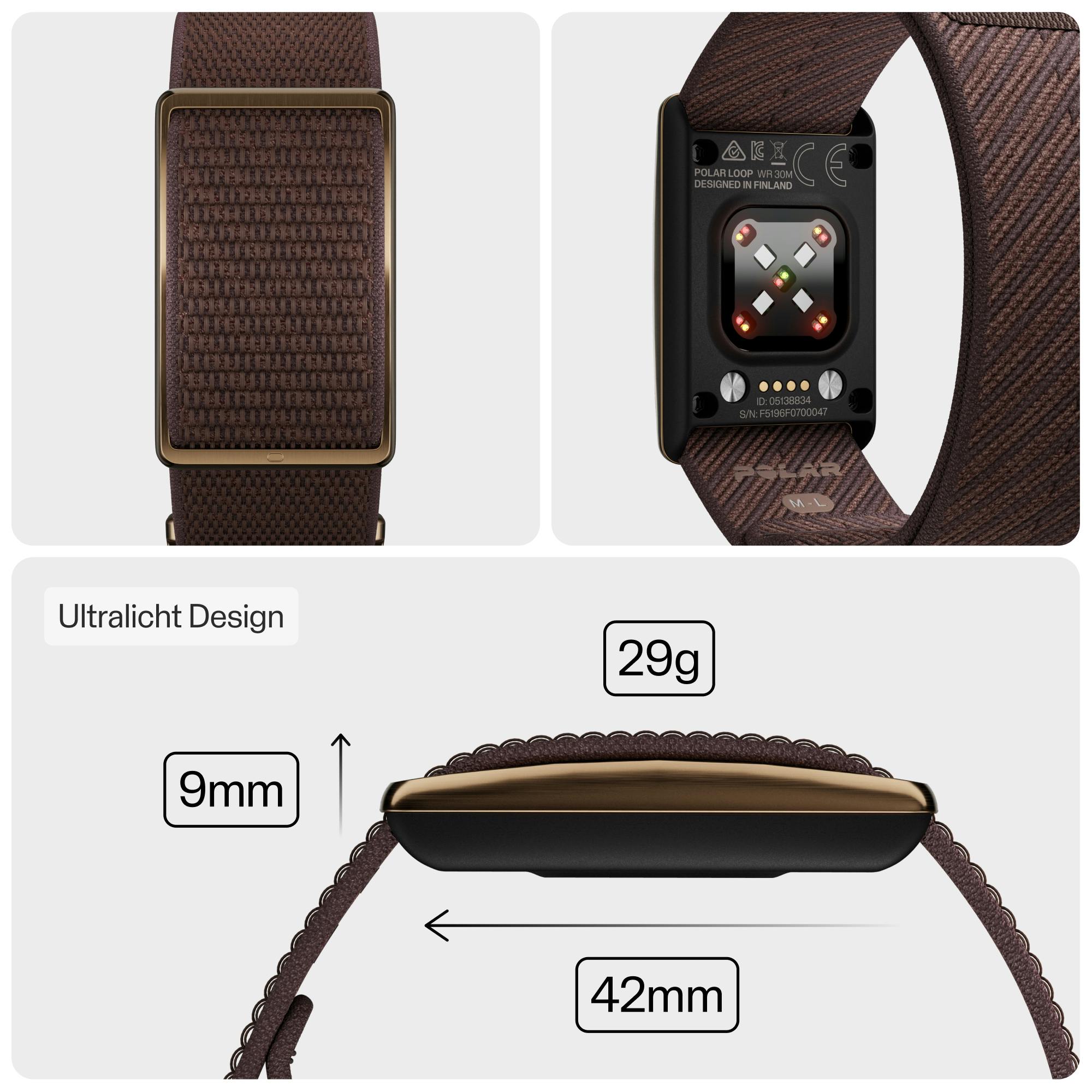 Polar Loop Bruin