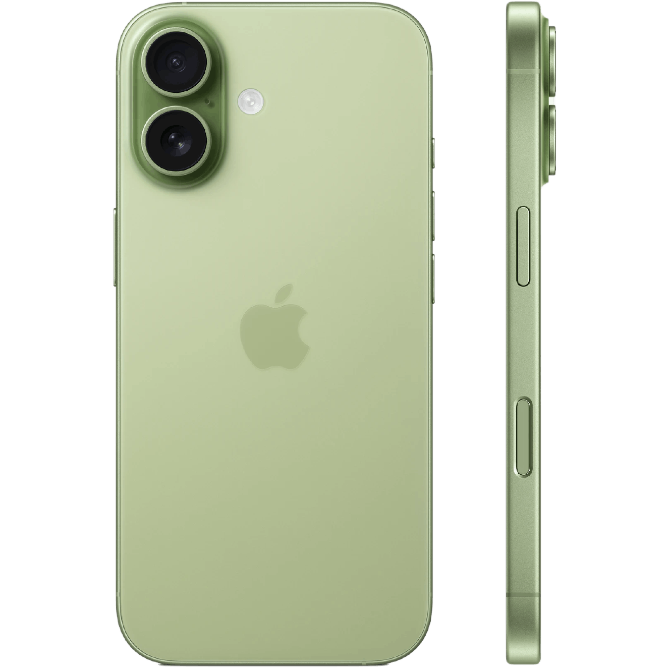Apple iPhone 17 Sage - Foto in studio