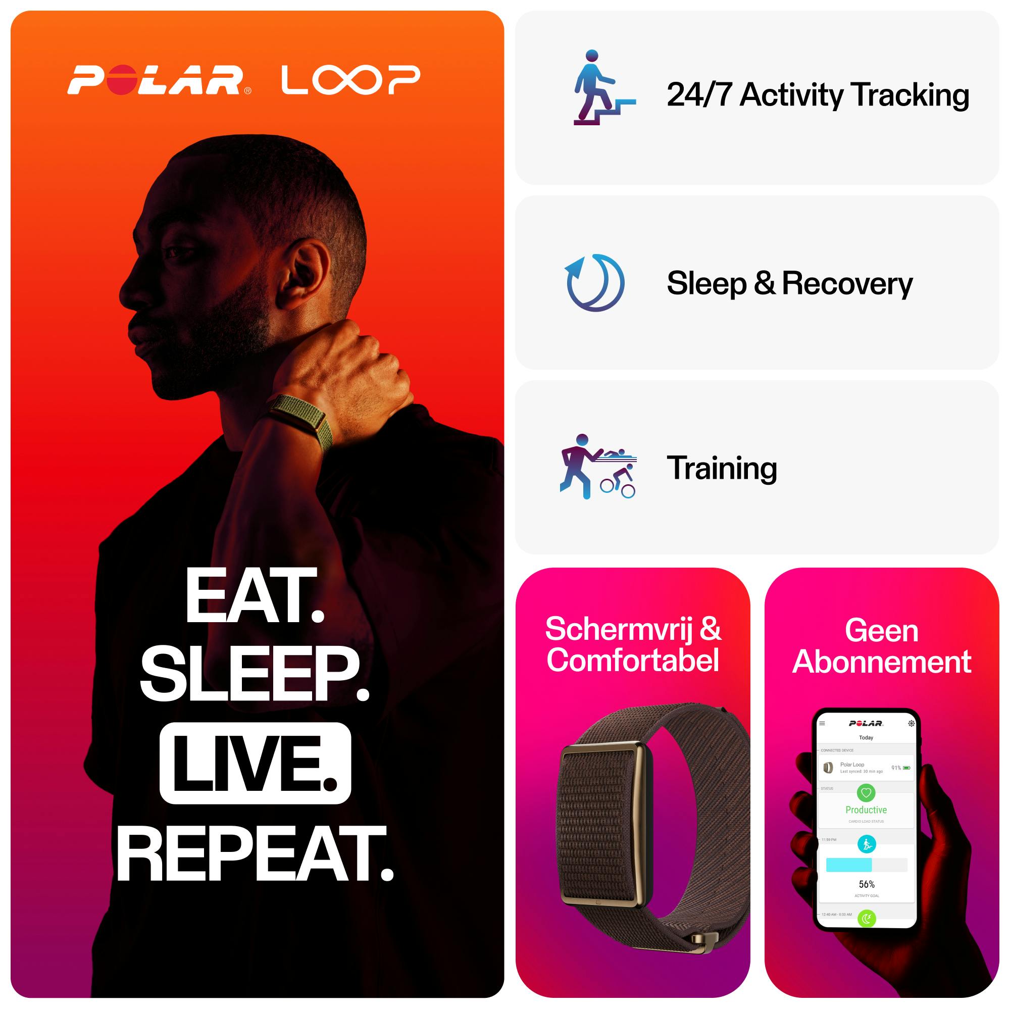 Polar Loop Bruin
