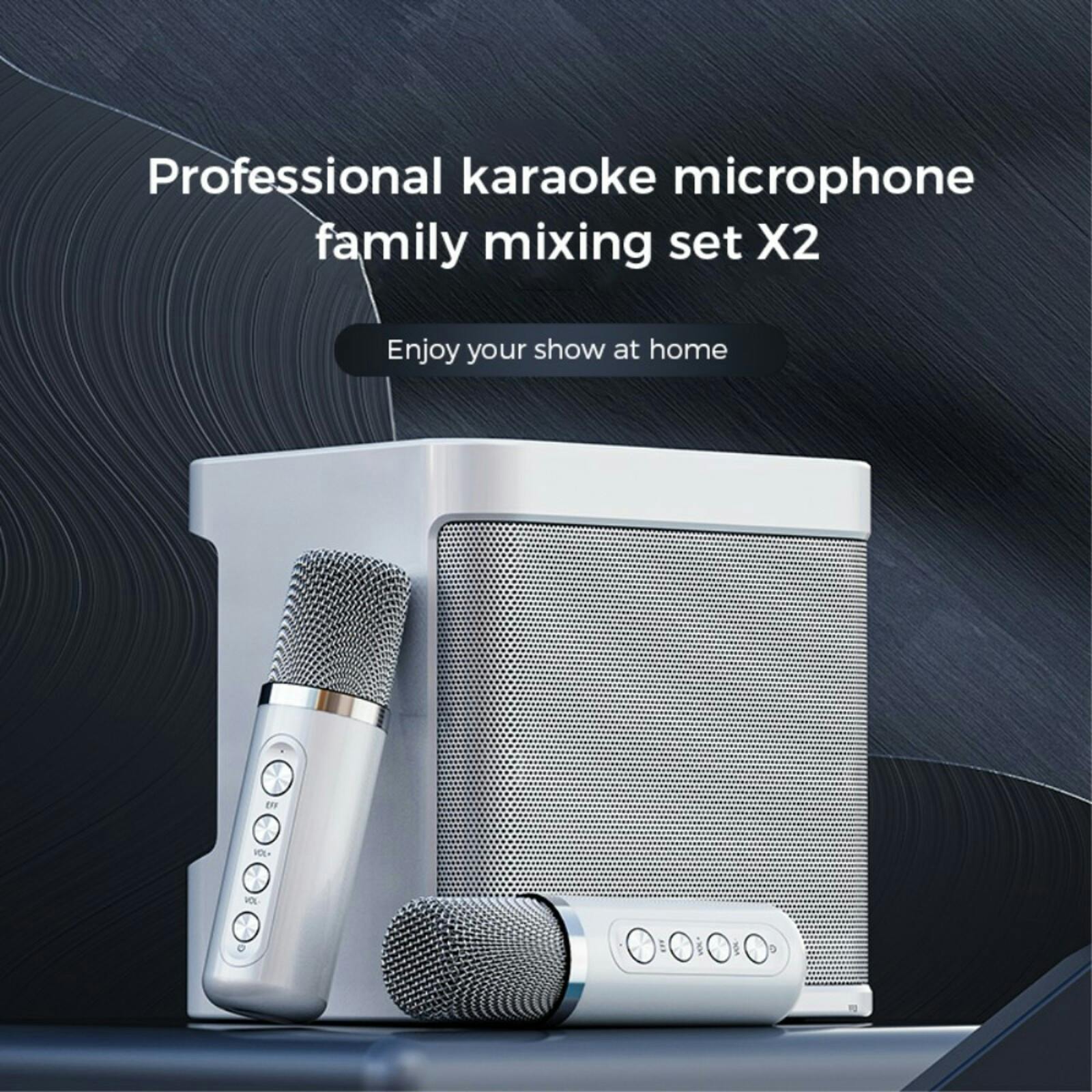 YS-203 KTV Karaoke Set met Draadloze Microfoons Pearl White