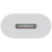 Apple USB-C naar Lightning Adapter Wit