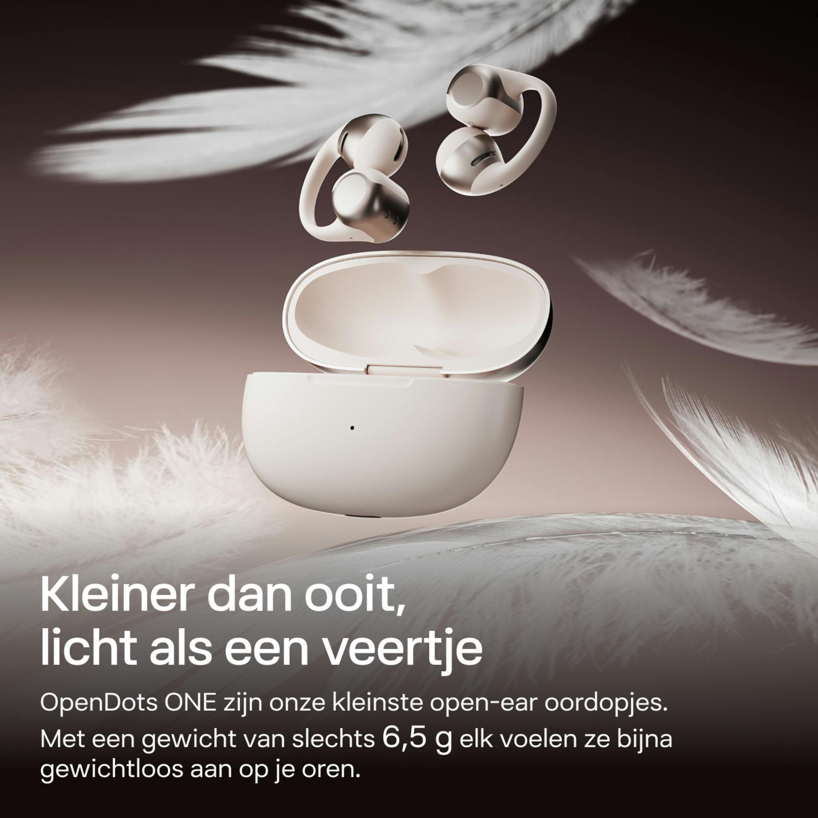 Shokz OpenDots ONE Grijs