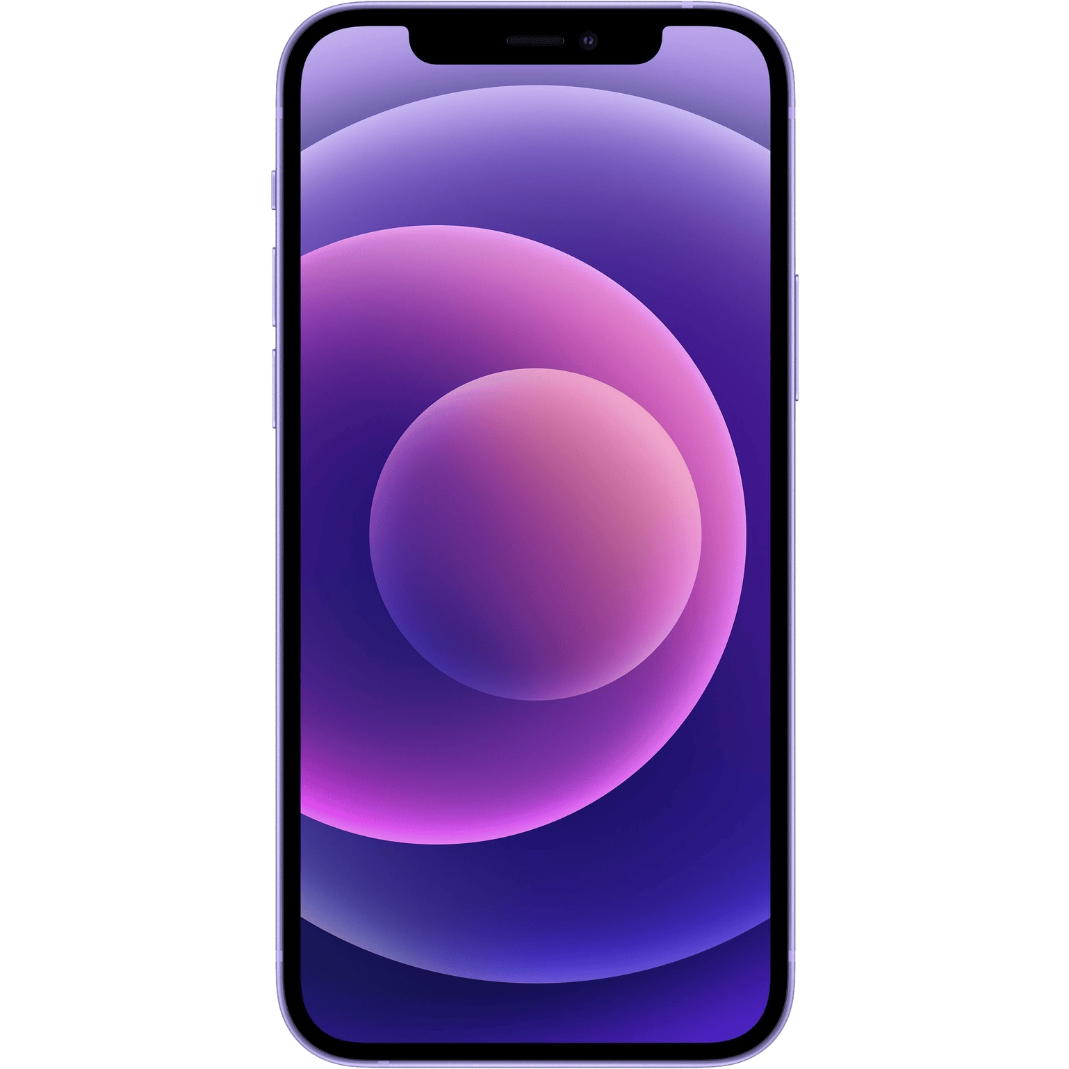 Apple iPhone 12 Purple