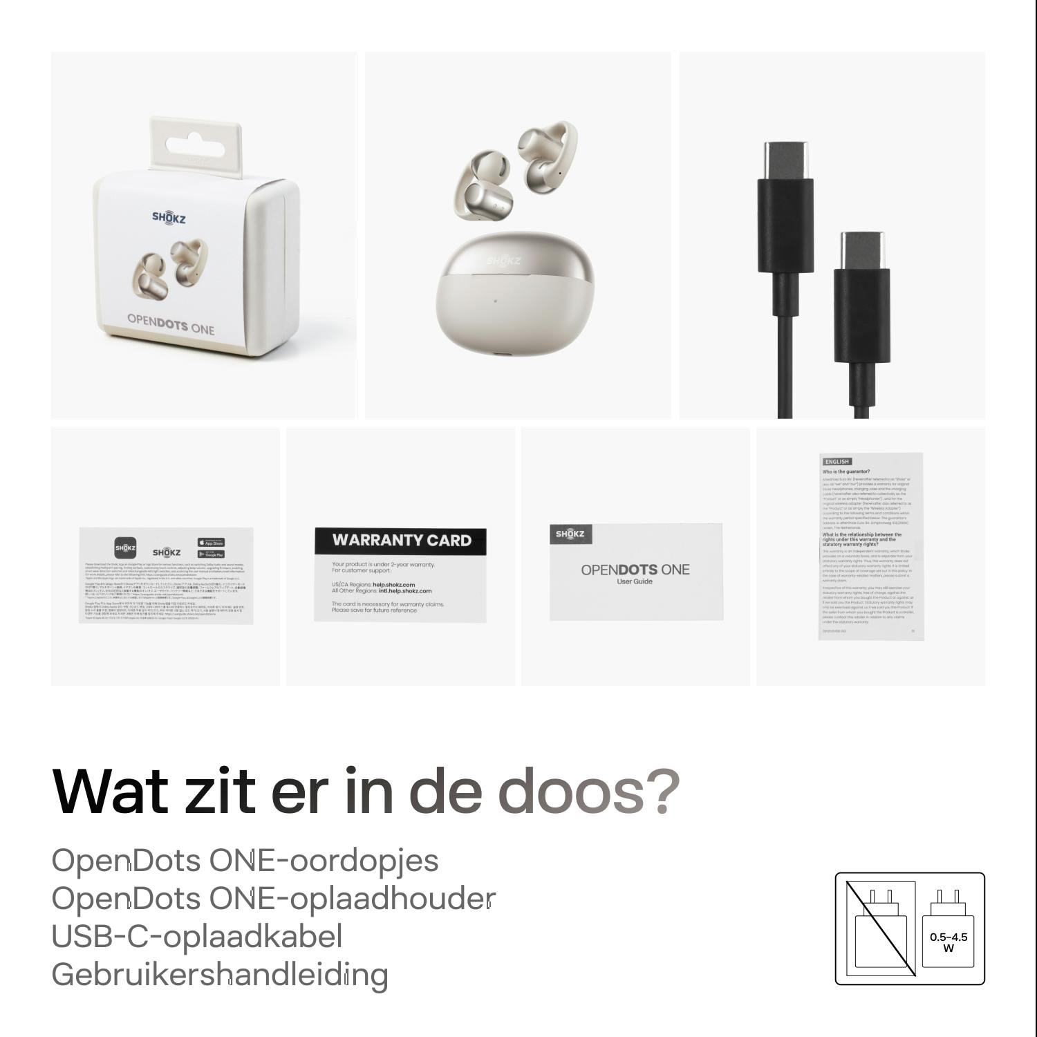 Shokz OpenDots ONE Grijs