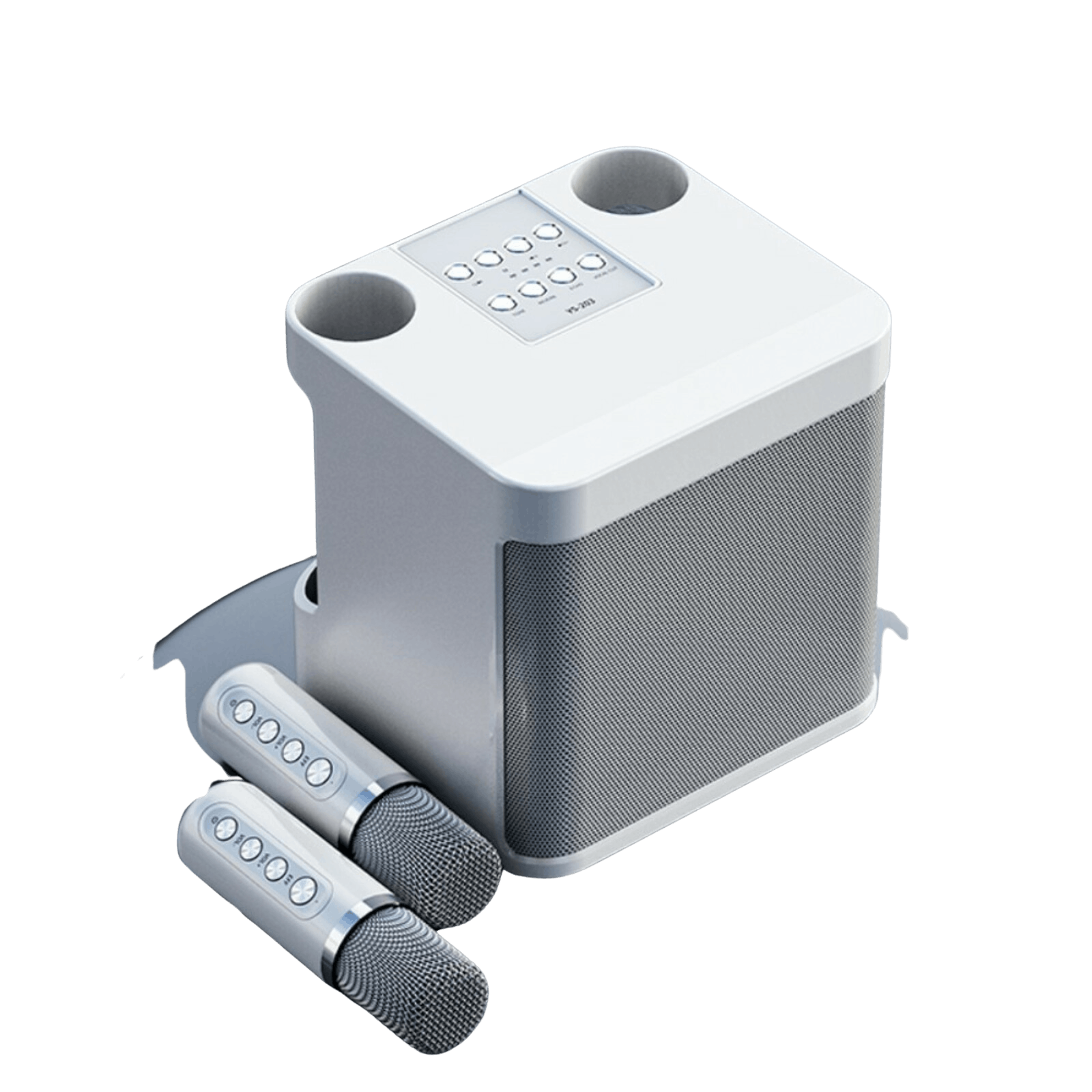 YS-203 KTV Karaoke Set met Draadloze Microfoons Pearl White