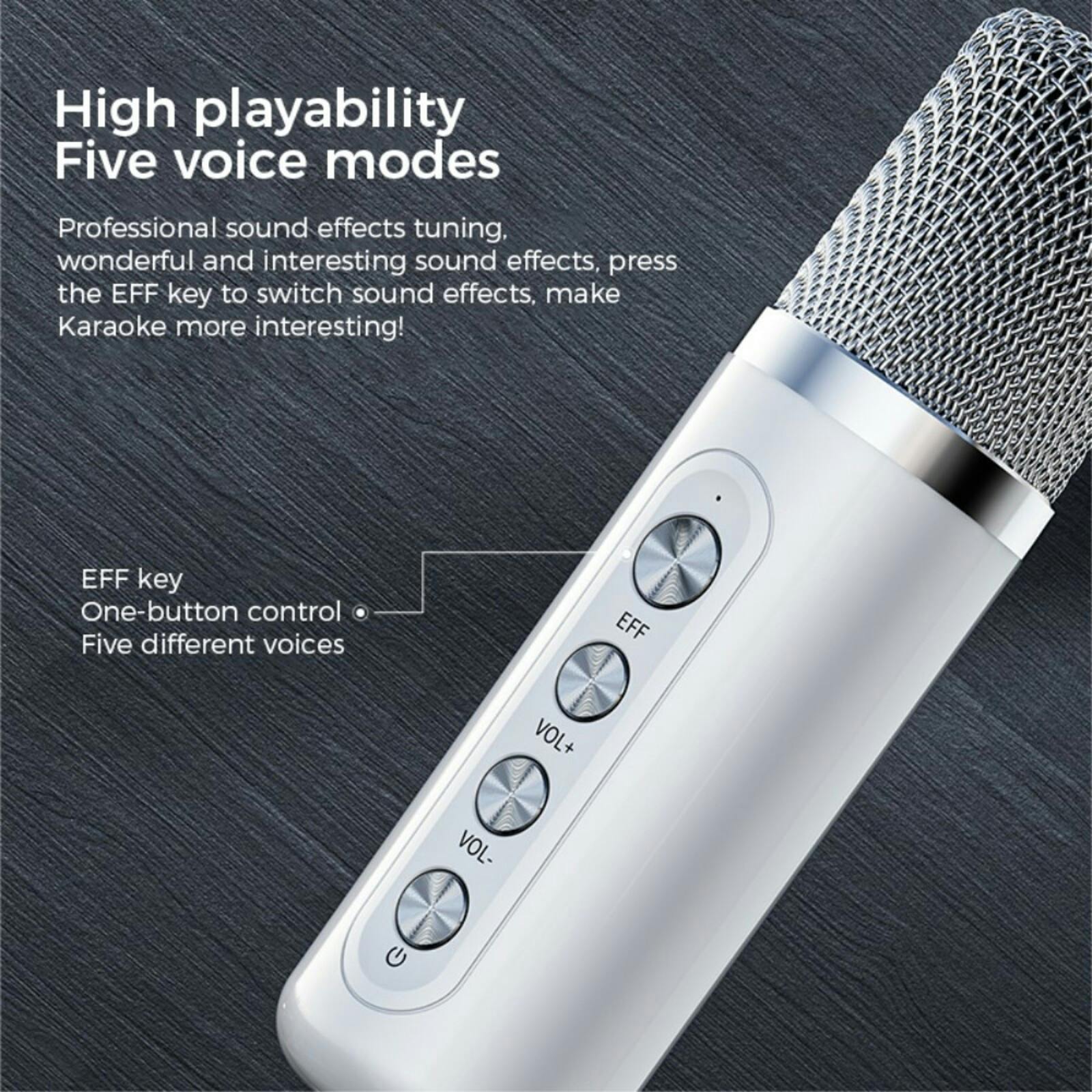 YS-203 KTV Karaoke Set met Draadloze Microfoons Pearl White